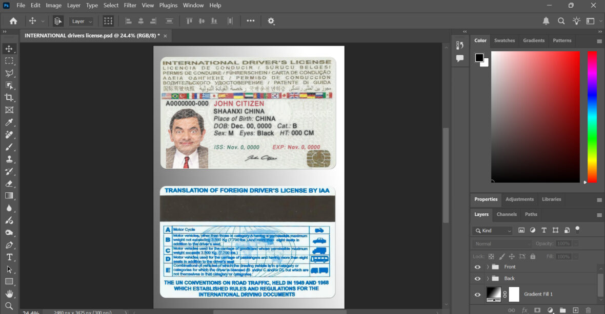 INTERNATIONAL driving license Template in PSD Format v1