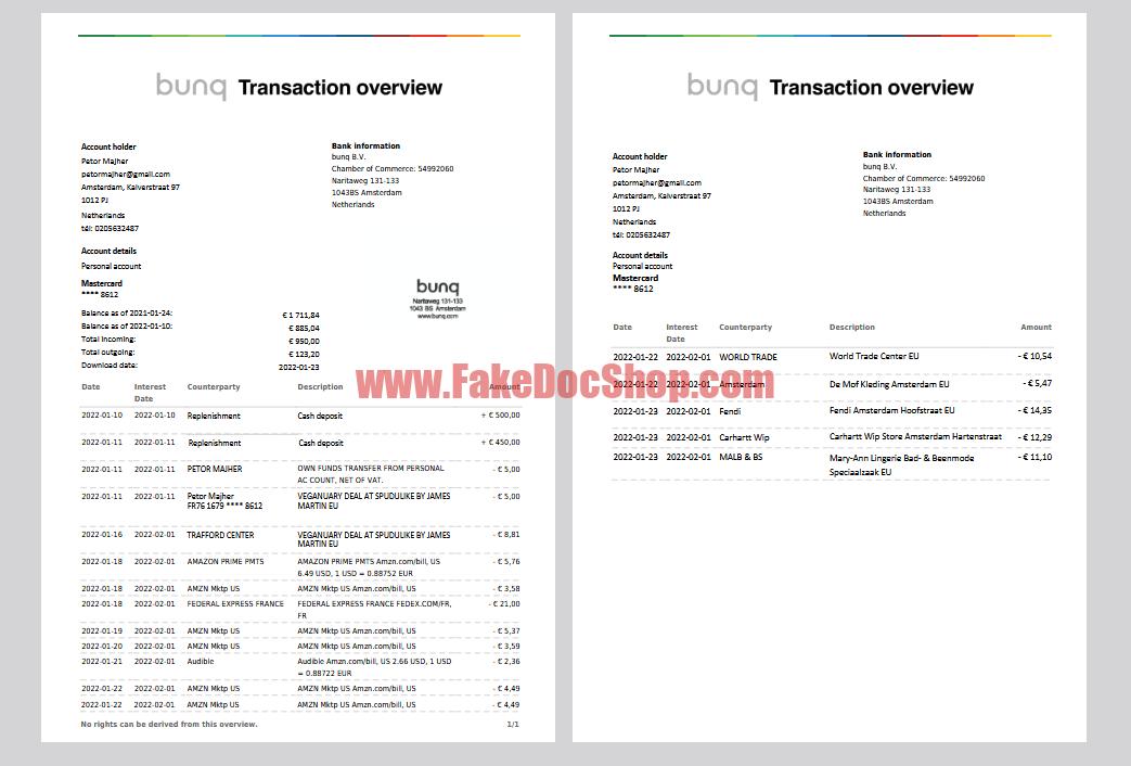 Netherlands bunq Account Statement Template in word and pdf format