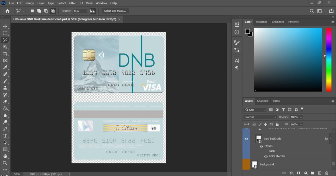 Lithuania DNB Bank Visa Card PSD Template
