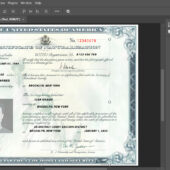 USA Citizenship certificate template in PSD format(v2)