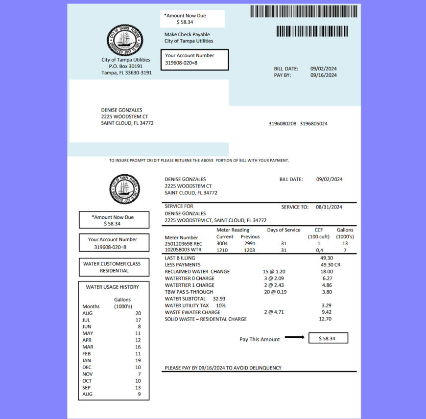 USA Florida Utilities Bill Template in word and pdf format