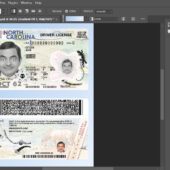 USA North Carolina driving license PSD Template (2024-present)