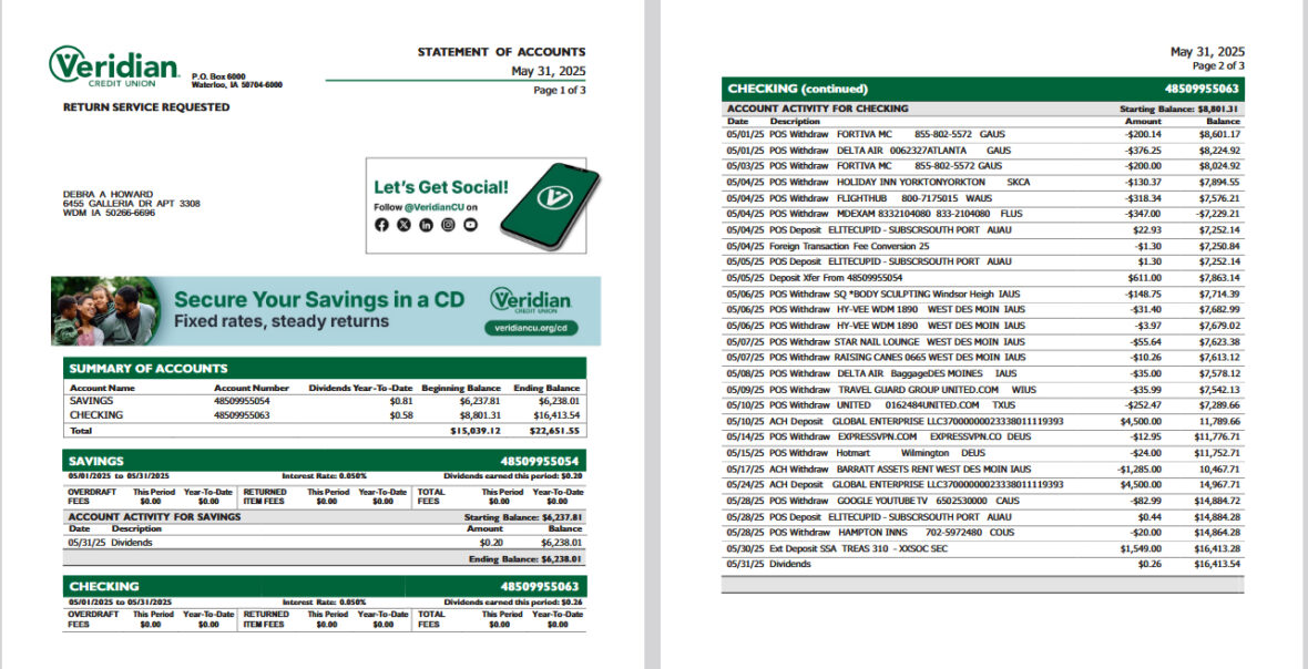 USA Veridian Credit Union Statement of Account Template