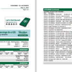 USA Veridian Credit Union Statement of Account Template(2025)