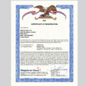 USA certificate of registration Word and PDF template
