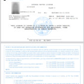 United States California Interim Driver License Template in word and pdf format
