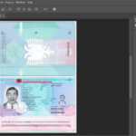 Albania Passport PSD Template