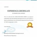 Fake Mountain Gate International Experience Certificate PSD Template