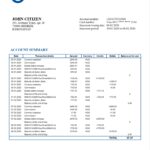 Kyrgyzstan OJSC Bakai Bank Statement Word And PDF Template
