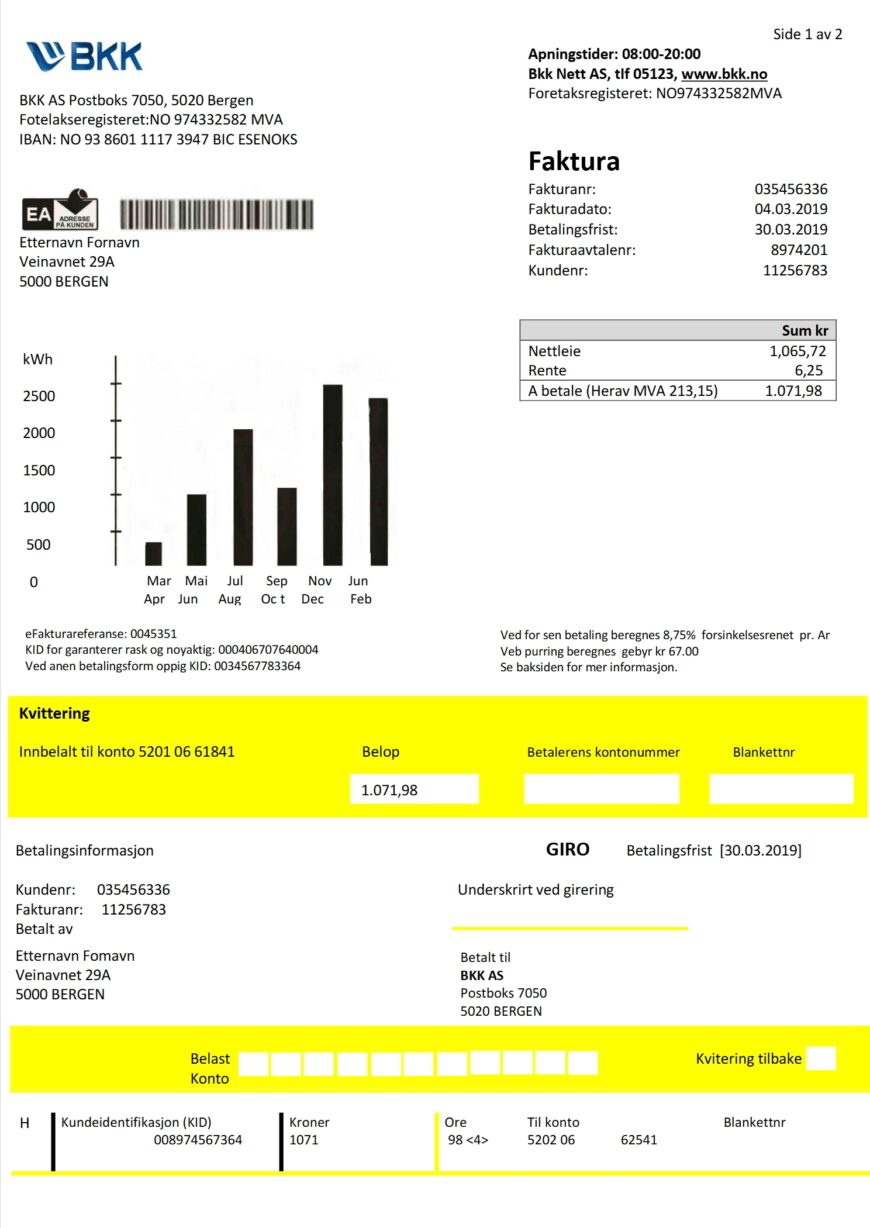 Norway BKK Electricity Utility Bill Word And PDF Template