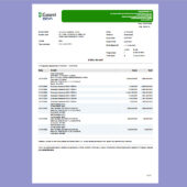 🇷🇴 Romania Garanti BBVA Bank Statement Template in word and pdf format