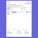 🇷🇴 Romania ING Bank Statement Template in word and pdf format