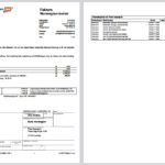 🇸🇪 Sweden Bank Norwegian Credit Card Statement Template in word and pdf format