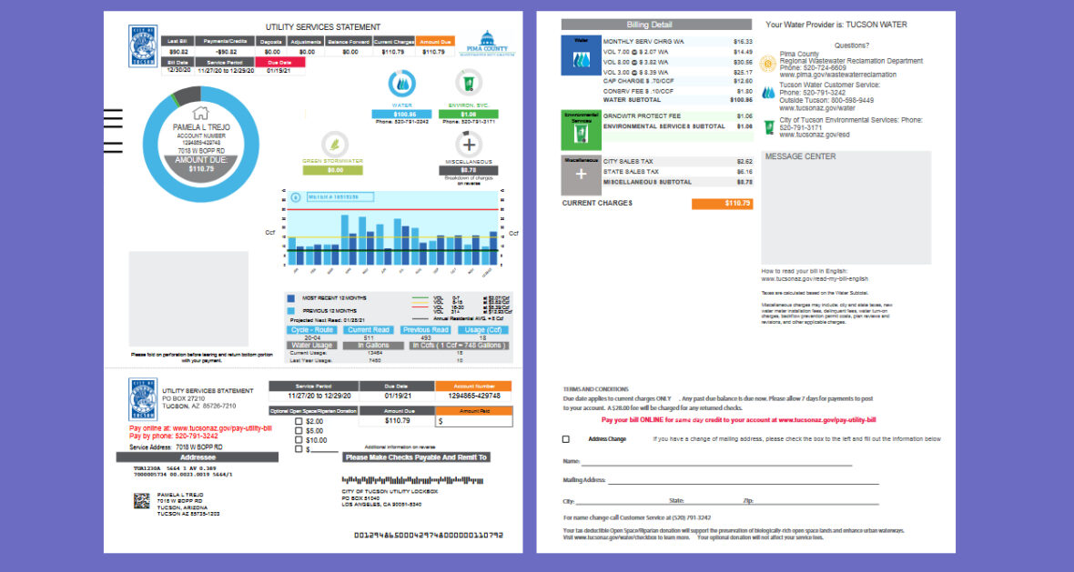USA City of Tucson Utility Services Statement Template in word and pdf format