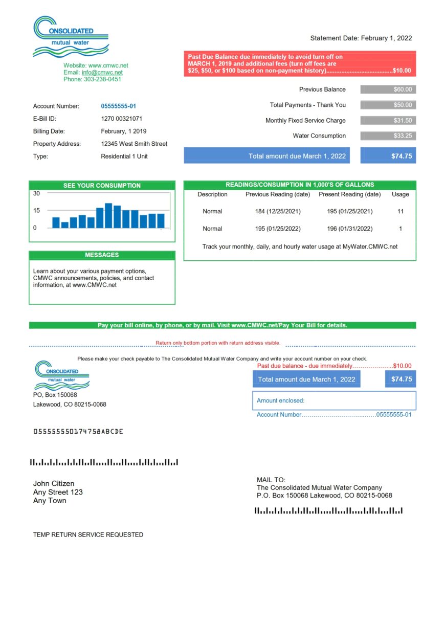 USA Consolidated Mutual Water Utility Bill Word And PDF Template Version 2