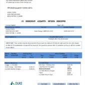 USA Duke Energy North Carolina Word And Pdf Template