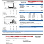 USA NorthWestern Energy Utility Bill Word And PDF Template Version 2