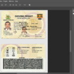 Uganda Driving License PSD Template