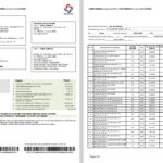 🇷🇴 Romania Hidroelectrica Electricity Bill Template in word and pdf format