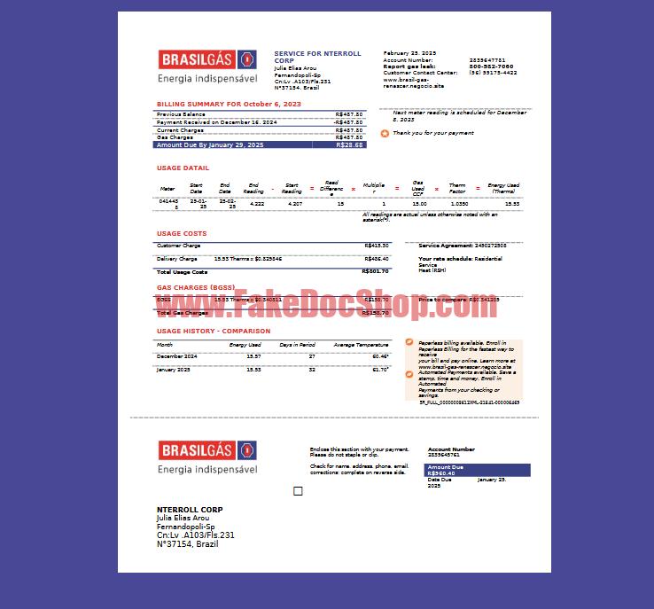 Brazil Brasilgás Bill Template in word and pdf format