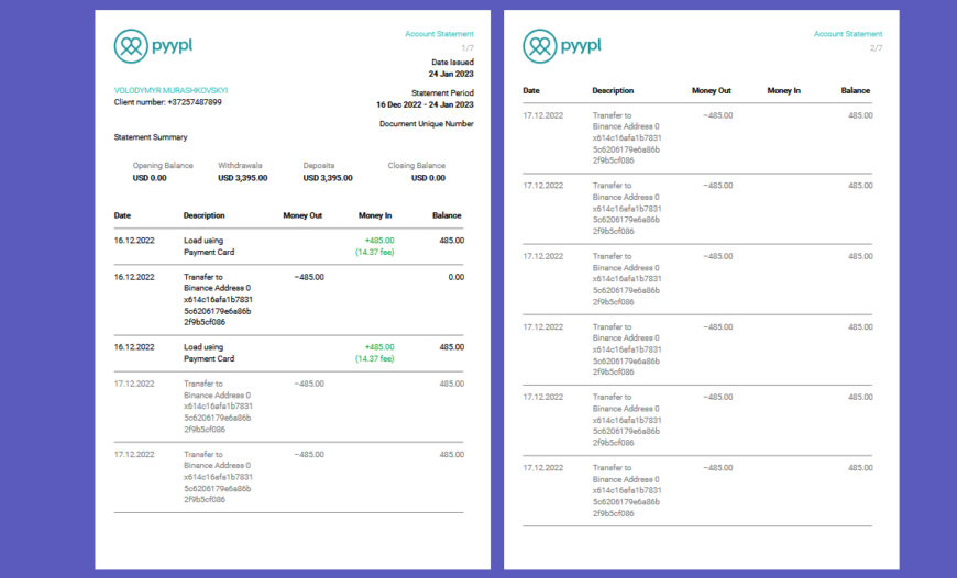 Estonia Pyypl Account Statement Template in word and pdf format