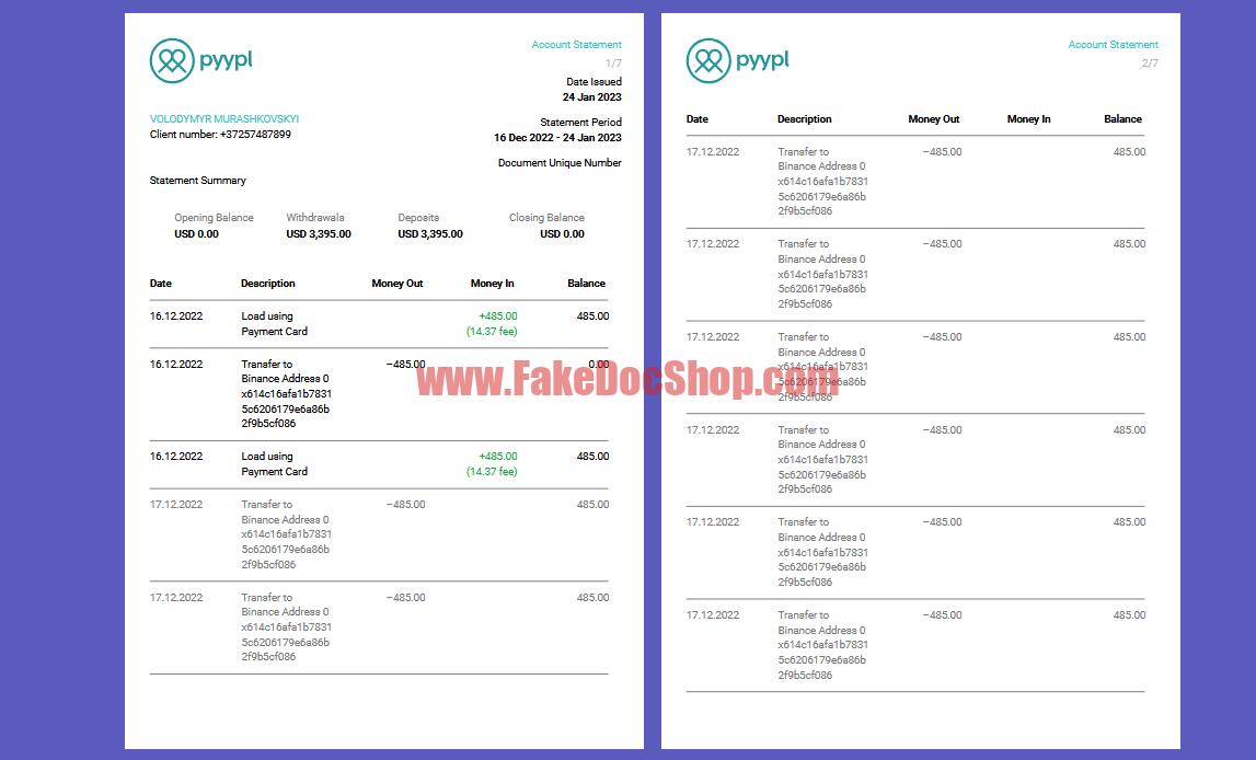 Estonia Pyypl Account Statement Template in word and pdf format