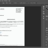 Fake Cushman Wakefield Company Experience Certificate PSD Template