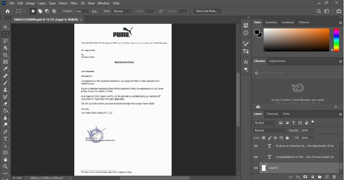 Fake Puma Company Experience Certificate PSD Template