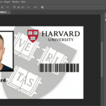 Harvard student identification card PSD Template