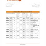 Lithuania SwedBank Bank Statement Excel And Pdf Template