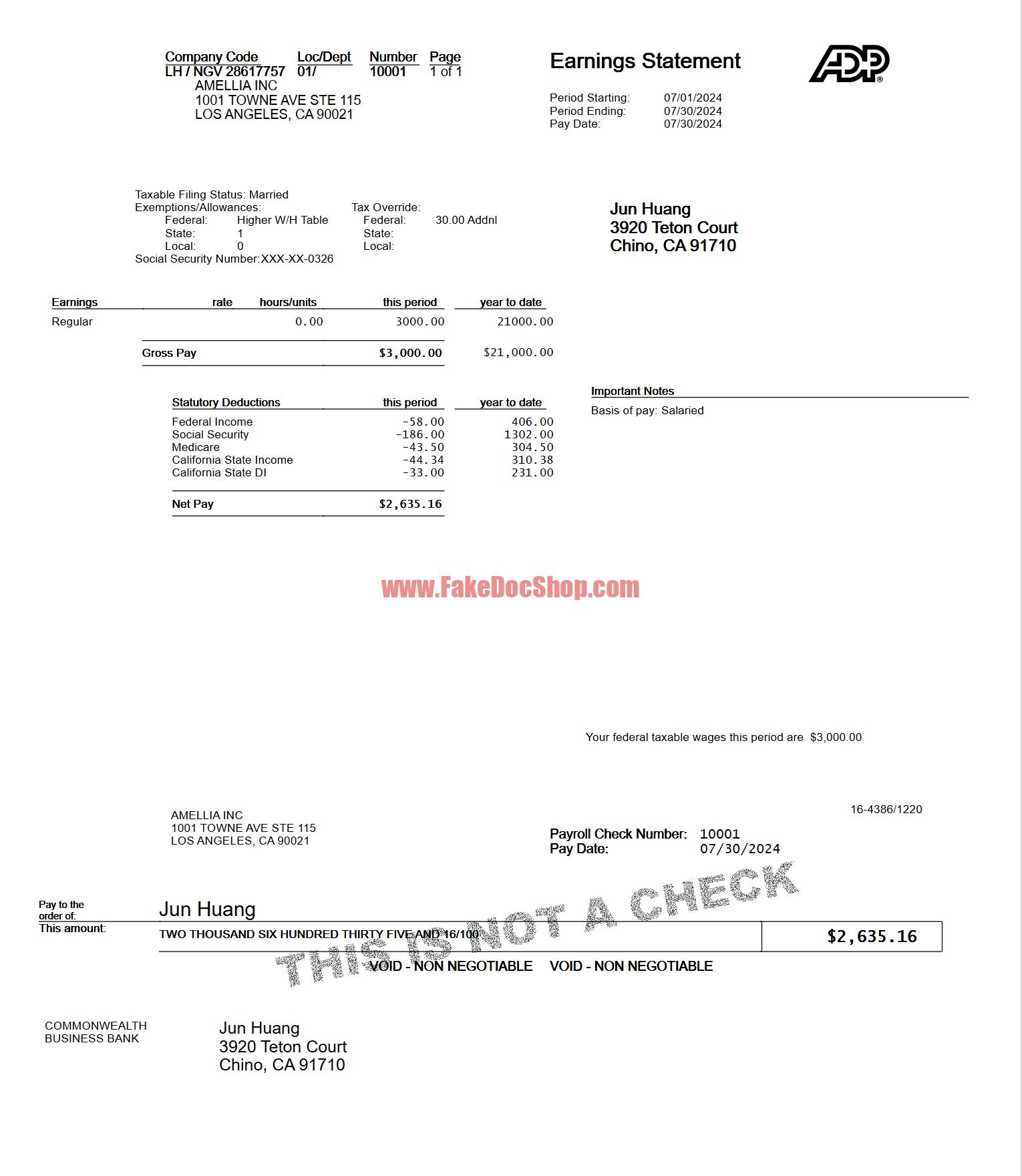 USA AMELLIA INC ADP Payroll Paystub Template In Word And PDF Format