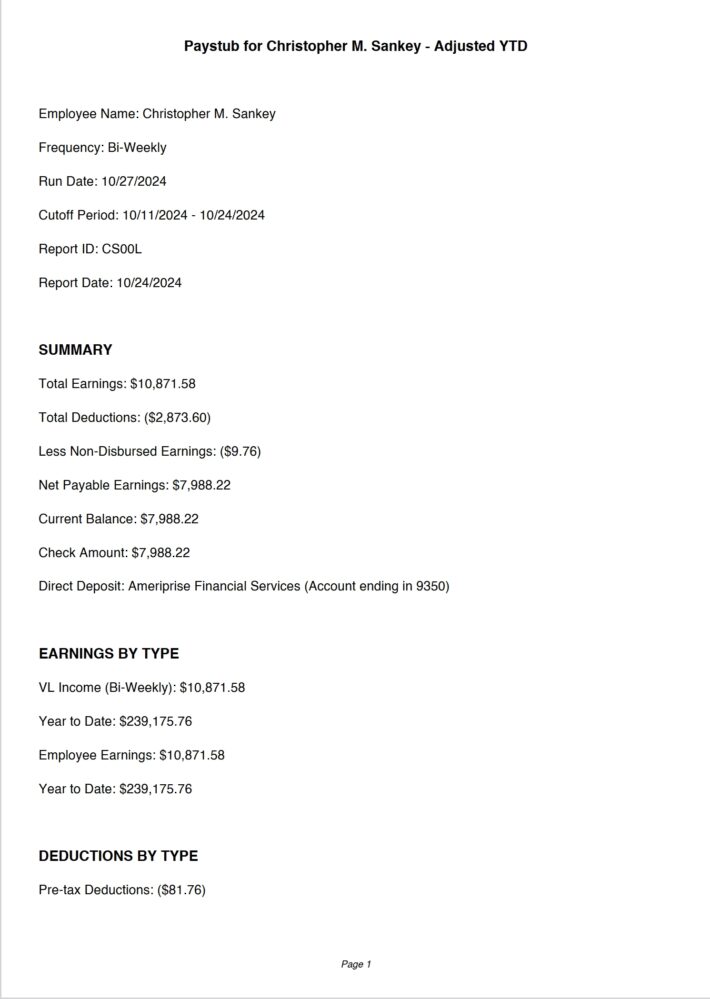 USA Ameriprise Financial Services Paystub Template In word And PDF Format