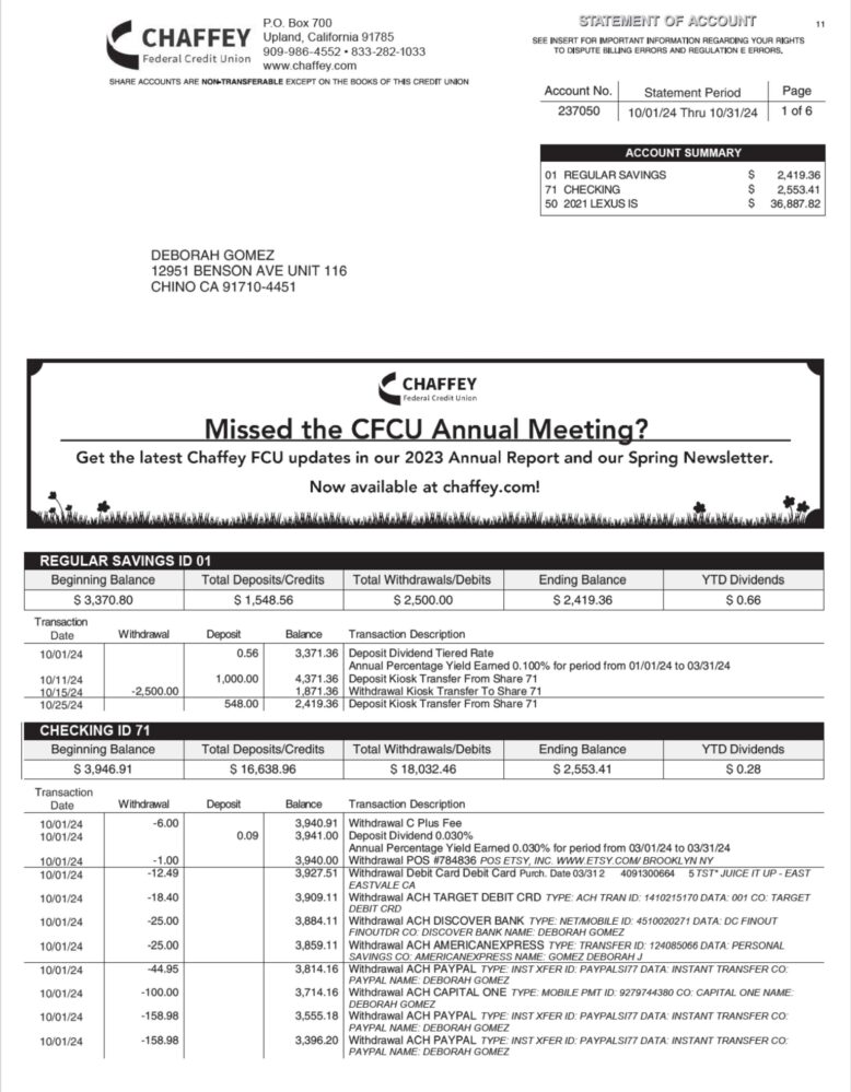 USA Chaffey Federal Credit Union Checking Account Statement Word And PDF Template