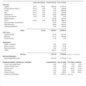 USA City of Bellaire Earnings Word And PDF Statement Template