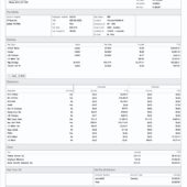 USA Nashville K-9 LLC Paystub Template In Word And PDF Format