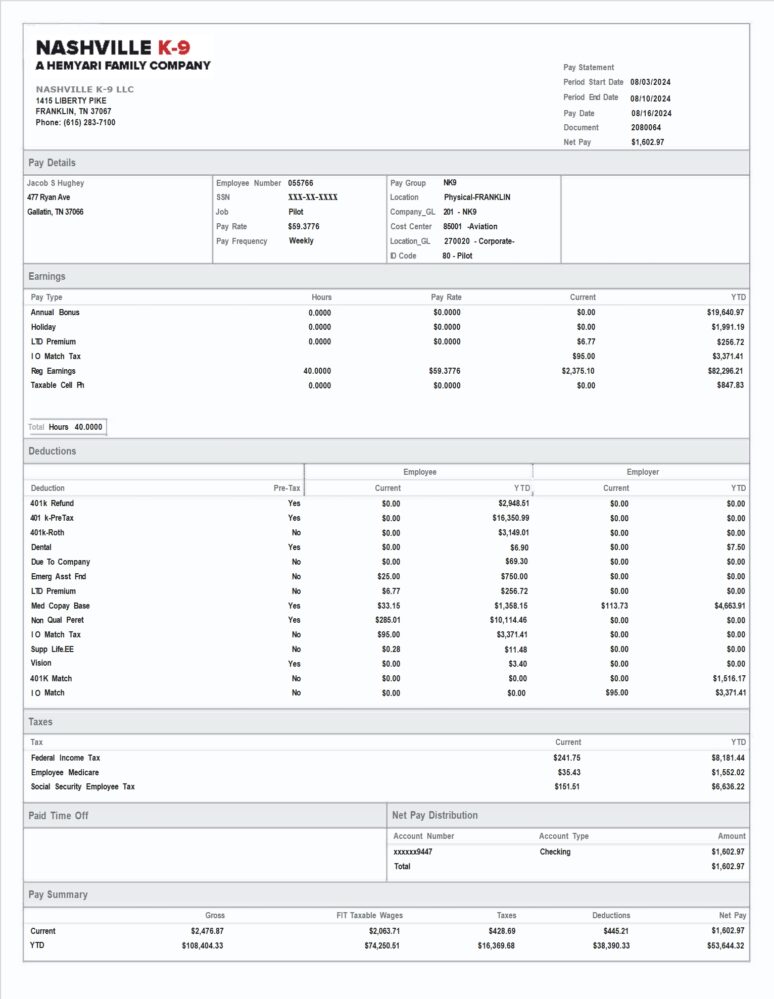 USA Nashville K 9 LLC Paystub Template In Word And PDF Format