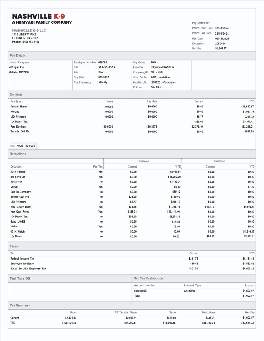 USA Nashville K 9 LLC Paystub Template In Word And PDF Format