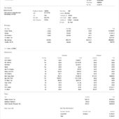 USA REACH Air Medical Services Pay Stub Word And PDF Template