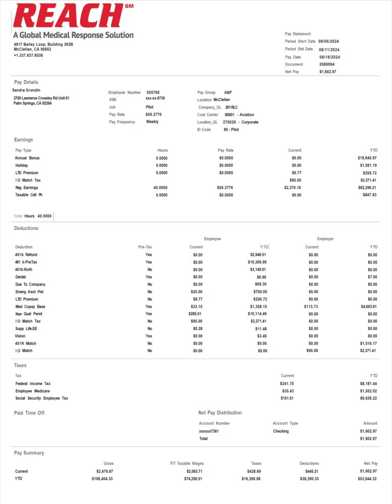 USA REACH Air Medical Services Pay Stub Word And PDF Template