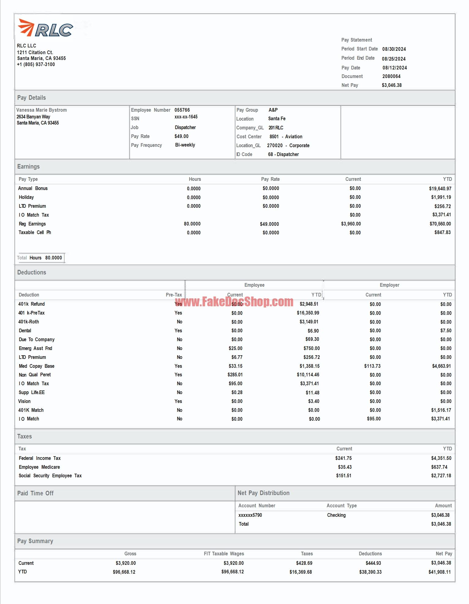 USA RLC LLC Paystub Template In Word And PDF Format