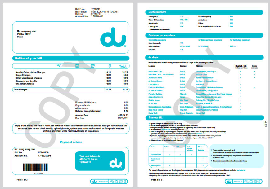 United Arab Emirates du Bill Template in word and pdf format