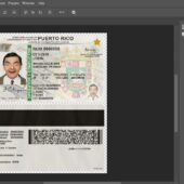 Puerto Rico Driving License Template