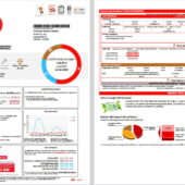 Spain EDP Utility Bill Template