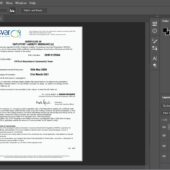 Ansvar Employer Liability Insurance PSD Template