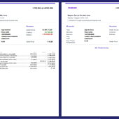 Argentina Brubank Account Statement Template in Word and PDF Format