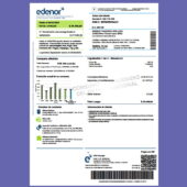 Argentina EDENOR Invoice template in Word and PDF format