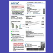 Argentina Edenor Utility Bill Template in word and pdf format