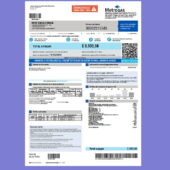 Argentina MetroGAS Utility Bill In Word And PDF Format