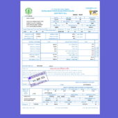 Bangladesh Power Development Board Electricity Bill template