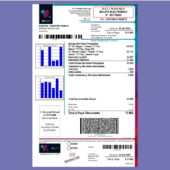Chile Electronic Bill Template in Word and PDF Format